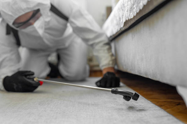 Professional Termite Control technician working in Ojus, FL