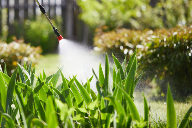 24/7 Emergency Termite Control experts in Ojus, FL