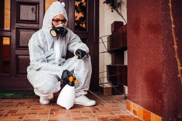 Reliable Termite Control contractor in Ojus, FL by Nex Pest Control
